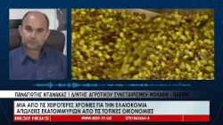 Μια από τις χειρότερες χρονιές για την ελαιοκομία