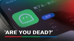 'Are you dead?' Chinese app for single living goes viral | ABS-CBN News