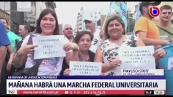 Universities: Francisca Staití analyzed the situation of the sector