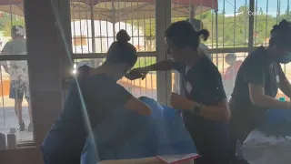 Volunteers from across the country travel to Mexico to give free veterinary care for abandoned pets