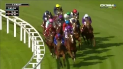 "Mini Hawk" 🥇🏇 ridden by jockey Ryan Moore wins a race at the "Champions Day" festival in Ascot