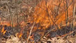 DEEP performs a controlled burn in Windsor to make a positive ecological impact
