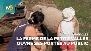 Petite Vallée Farm opens its doors to the public