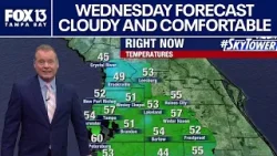 Tampa weather | Sunny and comfortable temps