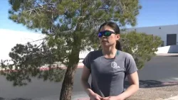 Red Rock Canyon rock climbing safety: Expert tips before you hit the trails