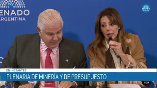 SENATOR FLAVIA ROYÓN - JOINT COMMITTEE ON MINING, ENERGY, AND BUDGET 09/03/26
