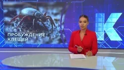 Новости Калининграда — итоги дня, 25 февраля 2026 каскад тв Новости Калининграда — итоги дня, 25 февраля 2026 каскад тв