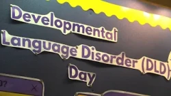 Global awareness day highlights hidden language disorder affecting 1 in 14