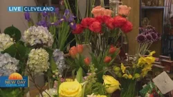 New Day Cleveland: The Urban Orchid