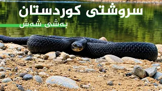 سروشتی کوردستان - بەشی (6)