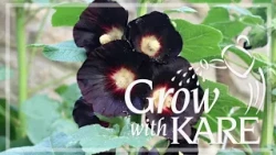 Grow with KARE: Halloween-inspired plants