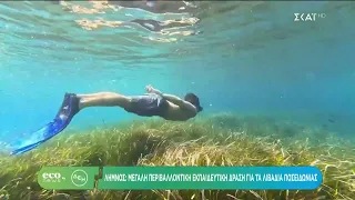 ECO NEWS BY ΔΕΗ | Imagine Lemnos Plastic Free: Εκπαιδευτική δράση για τα λιβάδια Ποσειδωνίας