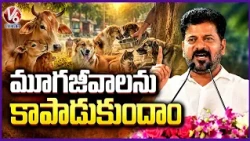 CM Revanth Reddy Calls for Measures to Protect Animals from El Niño Effects | V6 News