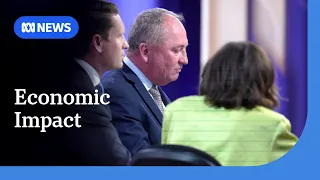 Barnaby Joyce says politicians — not economists — should determine migration policy | ABC NEWS