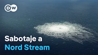 Suspect arrested for Nord Stream pipeline attack