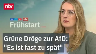 Green Party parliamentary leader calls for a ban on the right-wing party | ntv