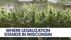 Marijuana legalization and Wisconsin; what to know about latest push | FOX6 News Milwaukee