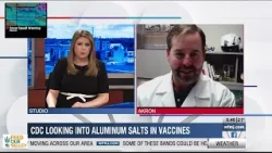 Центр по контролю и профилактике заболеваний (CDC) изучает наличие солей алюминия в вакцинах. Центр по контролю и профилактике заболеваний (CDC) изучает наличие солей алюминия в вакцинах.