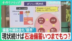 石油備蓄も補助金も無限ではない…　衣服・シャンプーの元原料「ナフサ」には補助金つかず　ガソリンの消費抑制へ誘導する必要も…【サンデーモーニング】｜TBS NEWS DIG