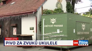 Prima ROK: Czech ukulele festival v Únětickém pivovaru