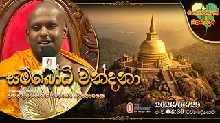 Ven Meegamawaththe Wimalajothi Thero | 2026-06-29 | 4:30PM (පොසොන් පෝය දහම් දෙසුම)
