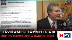 Filizzola on the proposal for IPS to capitalize Ueno bank