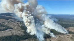 CANADA WILDFIRES | Alerts issued as several blazes reported in Alberta, B.C.