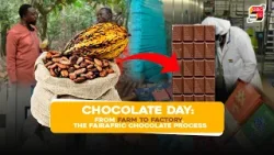 From Farm to Factory, The Fairafric Chocolate Process