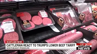 Heartland cattle ranchers: Trump’s beef import plan will hurt local producers