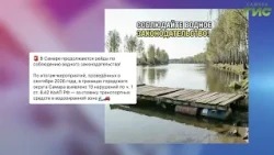 What Samara-based channels are writing about in the MAX messenger