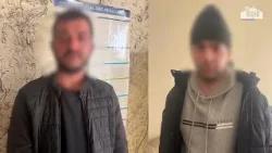 Առգրավվել է հալյուցինոգեն սնկերով հարյուր փաթեթ․ Երևանի քրեական ոստիկանների բացահայտումը Առգրավվել է հալյուցինոգեն սնկերով հարյուր փաթեթ․ Երևանի քրեական ոստիկանների բացահայտումը