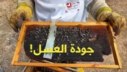 #Watch.. Mrs. Ghania shares the details and secrets of beekeeping and the quality of honey!