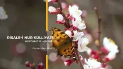 Mektubat, 16.Mektup part 2