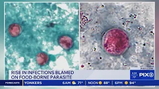 Rise in infections blamed on food-borne parasite
