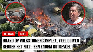 Devastating fire at allotment garden complex