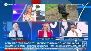 Άγρια επίθεση σκύλου σε 12χρονο στο Ηράκλειο: Με πολλά τραύματα το παιδί