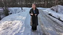 Домашнего питбуля привязали к дереву и зарезали