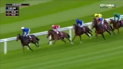 Emirati Victory in Godolphin Colors 🇦🇪 Congratulations to His Highness Sheikh Mohammed bin Rashid...