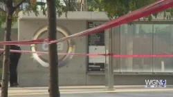 Deadly stabbing at CTA Green Line stop renews calls for heightened safety measures