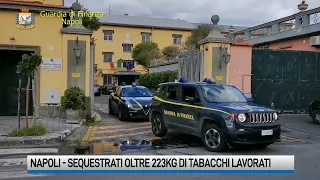 GDF Napoli, sequestrati oltre 223kg di sigarette di contrabbando