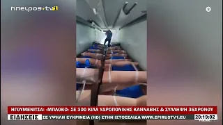 ΗΓΟΥΜΕΝΙΤΣΑ «ΜΠΛΟΚΟ» ΣΕ 300 ΚΙΛΑ ΥΔΡΟΠΟΝΙΚΗΣ ΚΑΝΝΑΒΗΣ & ΣΥΛΛΗΨΗ 36ΧΡΟΝΟΥ