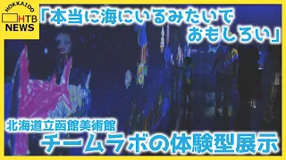 「本当に海にいるみたいでおもしろい」チームラボの体験型展示が函館に初登場　北海道立函館美術館