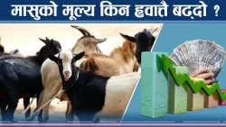 किसानले मूल्य नपाउँदा मासु पसलमा चर्को मूल्य तिर्न उपभोक्ता बाध्या, के गर्दैछ सरकार ?