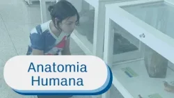 Museu da UnB reúne mais de mil peças do corpo humano