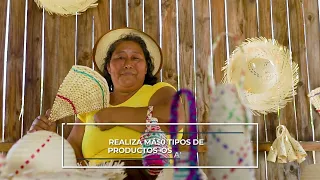#ProtagonistasDeNuestroTiempo | Productos de Palma