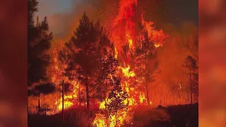44 acres of land destroyed in wildfire in and around Petit Jean State Park