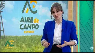 Desafíos y oportunidades en la educación rural - Aire de Campo Express
