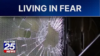 ‘God was with us’: Boston family recounts terrifying moment bullet tore through home