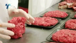 Спречен увоз на 50 тони небезбедна храна