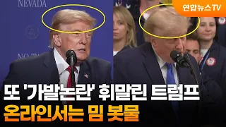 Trump entangled in another 'wig controversy'... Memes flood the internet / YonhapnewsTV